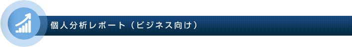 個人分析レポート(ビジネス向け)