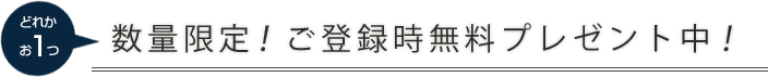 どれかお1つ 数量限定！ご登録時無料プレゼント中！