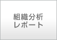 組織分析レポート